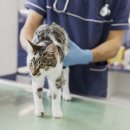 우신메디칼 이미지