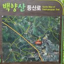 백양산임도(1) 이미지