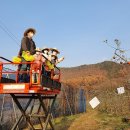 맘마농장 이미지