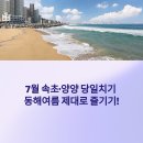 전라북도 부안군 줄포시내버스터미널 | 7월 속초 양양 당일치기 여행코스 추천｜회 맛집·서피비치·오징어순대까지 완벽 정리