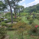 제1보영목장 이미지