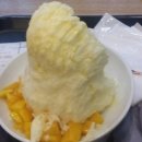 망고비어 이미지