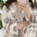 티곰 이미지
