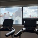 바디짐헬스 이미지