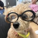윤설싸롱