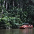 우림카서비스 이미지