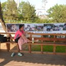 금왕읍사무소 이미지