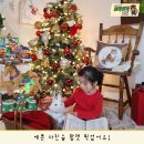 소풍을파는가게 이미지