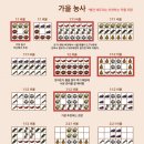 팬플루트(야간) 티스토리