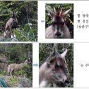 국립공원공단 국립공원연구원 북부보전센터 이미지