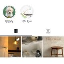 [월곡동 카페] 광주 개인카페추천! 분위기 좋은 신상카페 코지누크 (COZY NOOK)