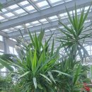 화성시 농업기술센터 | 송산포도 언니가 다녀온 화성시 농업기술센터 식물원! 제철 도시락과 AI 교육으로 앞서가는 송산포도...