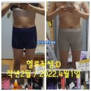 바디씬 효과 후기 코스모스G(구 헤베니케) 디톡스 프로그램