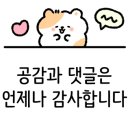 천연아로마테라피(야간) 이미지