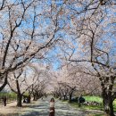 암곡와동 이미지