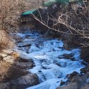 전원펜션 | 전원일기펜션오토캠핑장 가족캠핑 후기 [경주캠핑장]