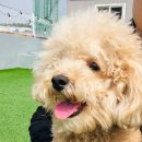 멍품유치원 이미지