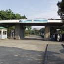 중앙로(동문시장) (동문로터리, 동문시장방면) 이미지