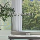 아르벤헤어 네이버블로그