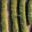 한국차박물관 이미지