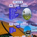 성화농장 | 달랏 라도택시 투어 - 다딴라폭포, 몽고랜드, 엠타눙 커피농장