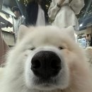 집 머무는 | 홍대 겨울이 머무는 집 방문 후기, 홍대 가볼만한곳