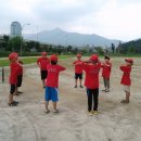 유소년야구장 이미지