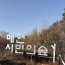 양재어린이공원 | 🐶 강아지 둥이와 함께한 양재 시민의 숲 산책기