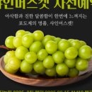 선진농원 이미지