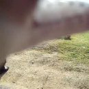 해병대 체력 단련장 - 2. 이미지