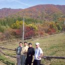 삼아농장 이미지