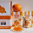 한라봉맛 비타민 과일젤리 제주애퐁당 제주도간식추천