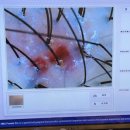 오라사우나 | 두피 디톡스 찐맛집! 용인수지 두피탈모케어 스파오라스칼프 수지점 방문 후기