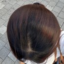 GS25 단양늘푸른 | 여의도 미용실 추천 | 애쉬브라운 염색, 준오헤어 여의도 KBS별관점 나린쌤