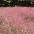 구리역광장 이미지