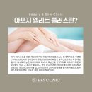 비앤에스채널 이미지