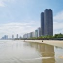 도야패밀리