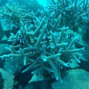 미루농장 이미지