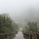 횡계2리 | (평창여행) 대관령 삼양목장 (2010년9월23일)