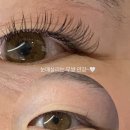 온의동, KBS뒷편 도로 | 춘천 속눈썹, 춘천 속눈썹 연장, 도아스튜디오