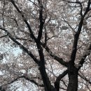 신흥양계장 | 큰 아들에게