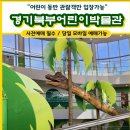 경기북부어린이박물관 다자녀 예약 근처 가볼만하곳 맛집