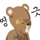 어니스트동물병원