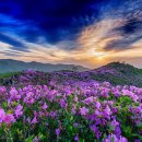 4월 마지막주 주간 주식시황 이미지