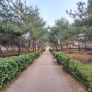 작지만 알찬 공원 추천 [전재울 근린공원]