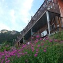 패밀리펜션 이미지