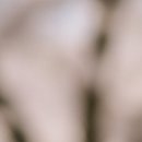 미나성형외과의원 이미지