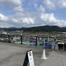 갬성천국 | 나만 알고 싶은 경기도 연천카페 크리미에 원목갬성 포토존 카페투어 내돈내산 후기 (+고양이도 볼수 있음)