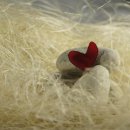 아름동물병원 이미지