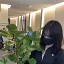 월드스크린 | 잡월드 현실판 2탄 - 스크린골프장 알바 후기 / 골프존 파크 알바 후기